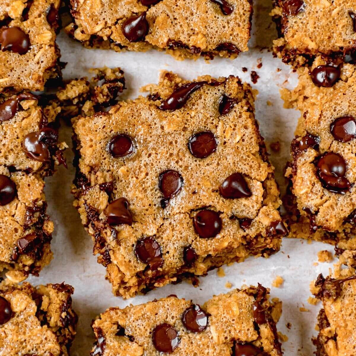 Chocolate Chip and Nut Oatmeal Squares