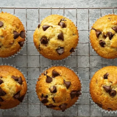 Low Calorie Chocolate Chip Muffins